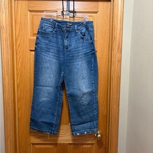 Judy Blue Classic Denim Jeans